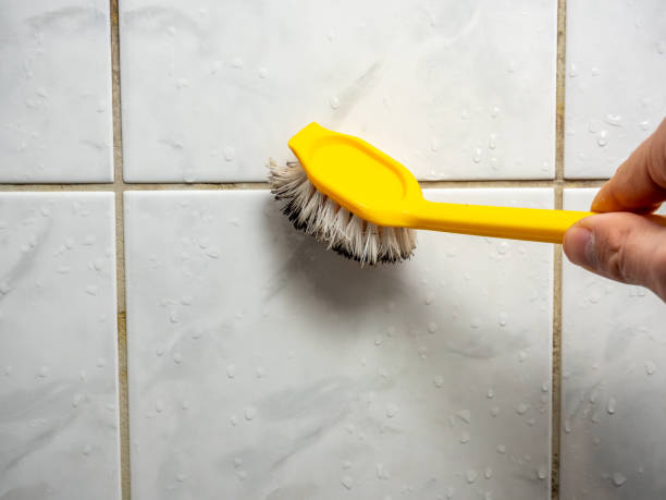 Best Office Mold Removal Services  in Lilburn, GA