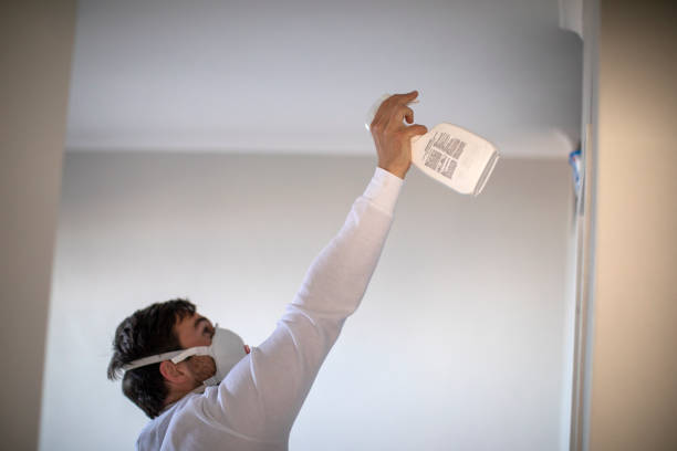 Best Residential Mold Removal  in Lilburn, GA